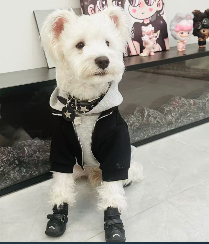Dog Clothes Fake Two-Piece AutumnWinter Warmth Schnauzer Bichon Teddy Shiba Inu Westie Pet Hooded Sweatshirt