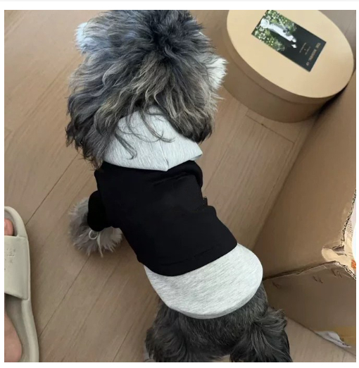 Dog Clothes Fake Two-Piece AutumnWinter Warmth Schnauzer Bichon Teddy Shiba Inu Westie Pet Hooded Sweatshirt