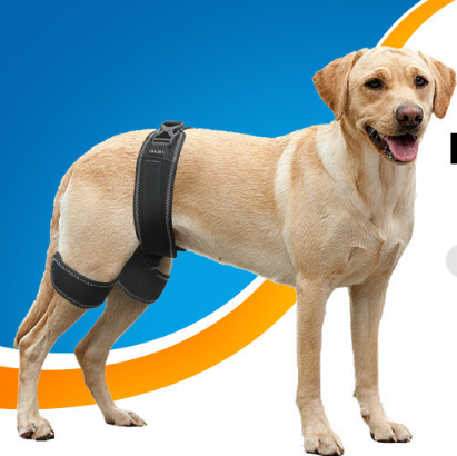 Pet Dog Hip Support Belt Orthotic Device