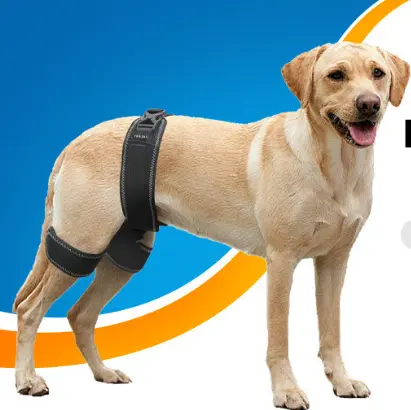Pet Dog Hip Support Belt Orthotic Device
