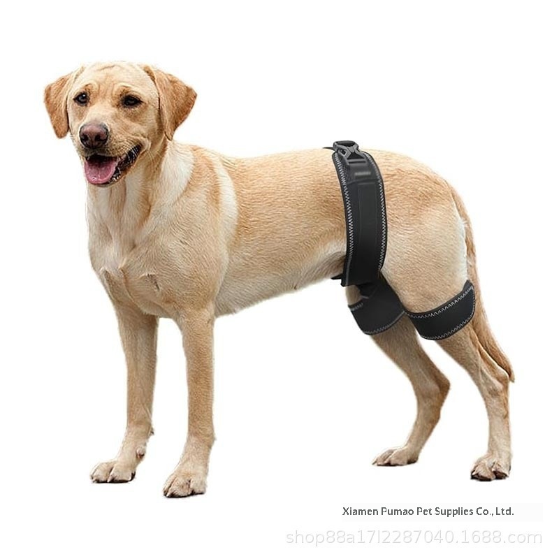 Pet Dog Hip Support Belt Orthotic Device