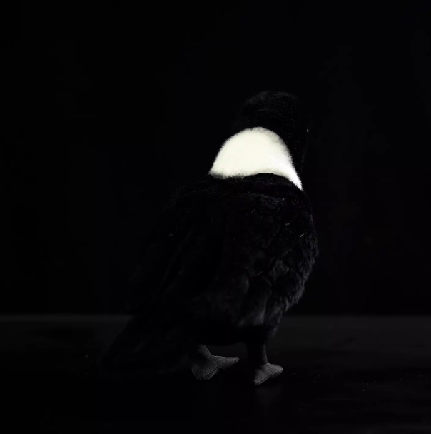 White-necked Crow Plush Toy, Collared Raven Doll