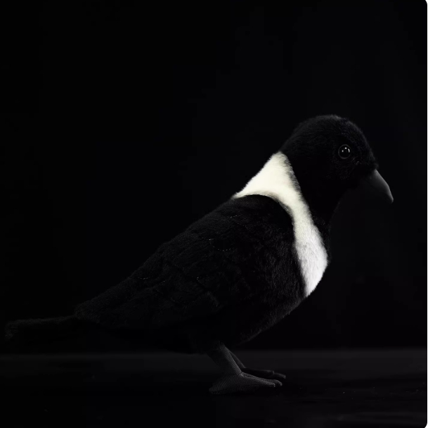 White-necked Crow Plush Toy, Collared Raven Doll