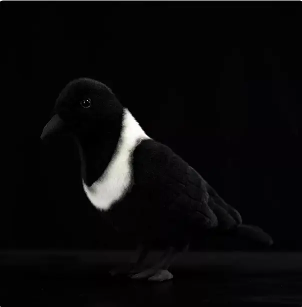 White-necked Crow Plush Toy, Collared Raven Doll
