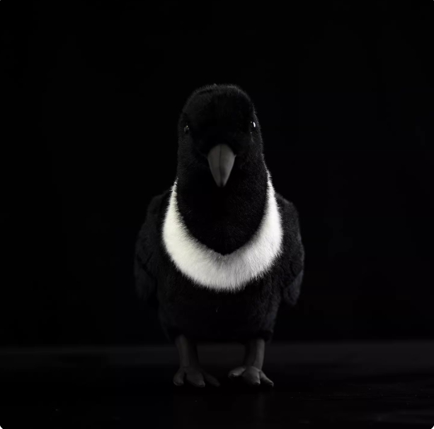 White-necked Crow Plush Toy, Collared Raven Doll