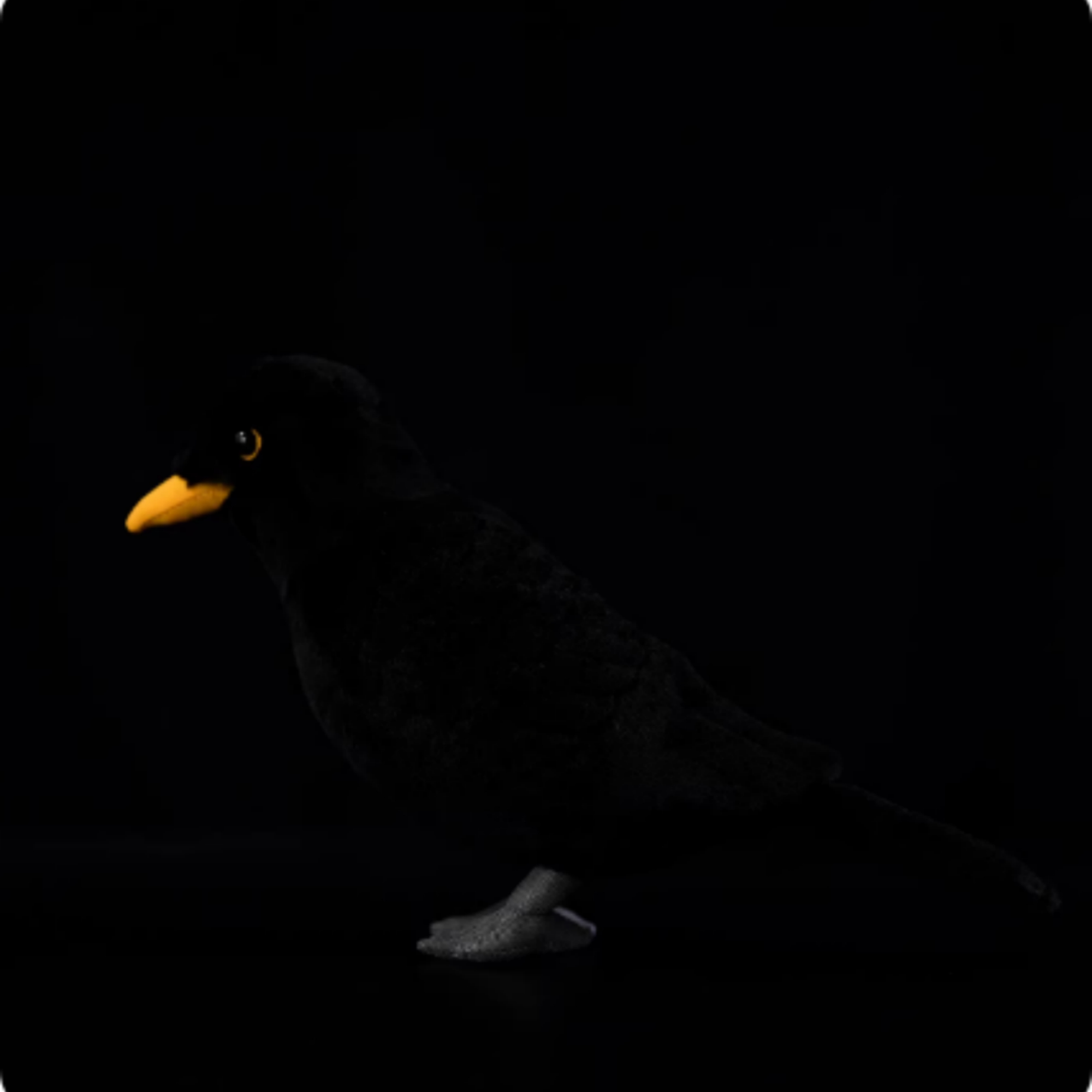 Blackbird Plush Toy Blackbird Doll Figurine