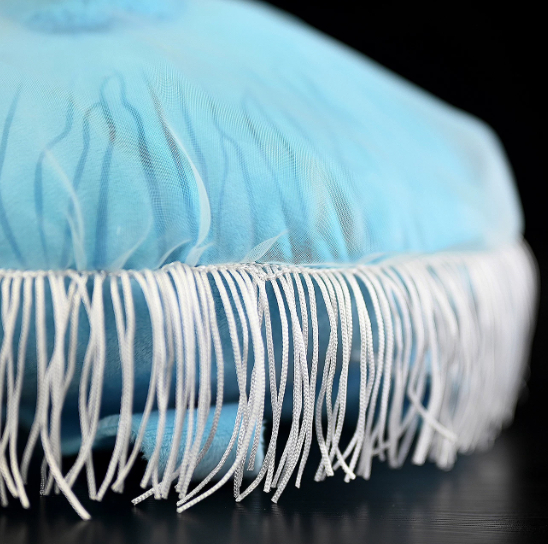 Encyclopedia Simulation Jellyfish Plush Toy Doll