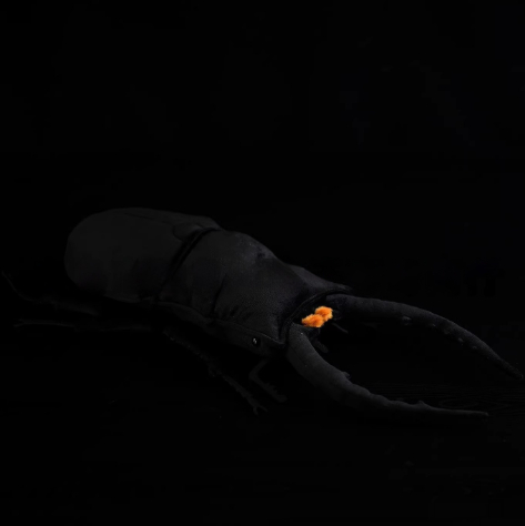 Plush Chinese Large Flat-Headed Stag Beetle Toy Doll