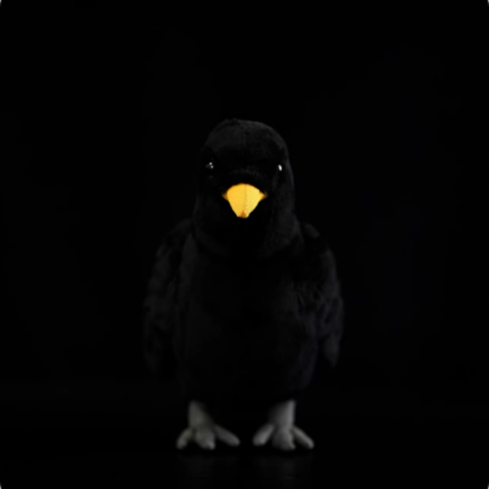 Blackbird Plush Toy Blackbird Doll Figurine