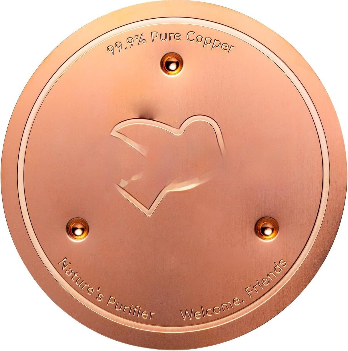 Bird Bath Cleaner Convenient, Lightweight Copper Disc