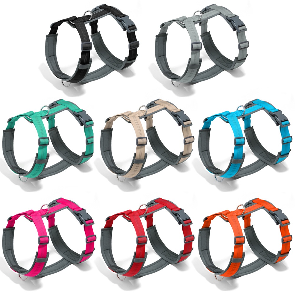 New Dog Leash And Harness Vest-style Leash