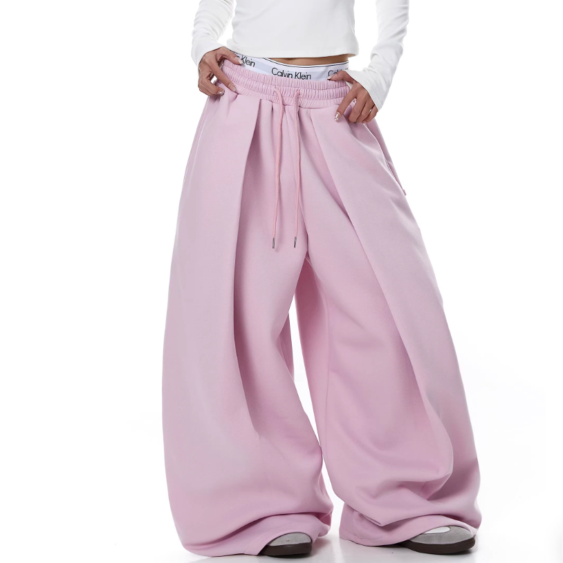 Embroidered Pleated Drawstring Sweatpants For Women Loose Straight Fit