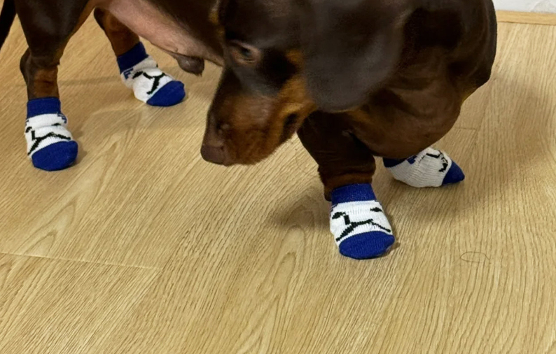 Set Of 4 Durable Scratch-resistant Dirt-proof And Non-slip Paw Covers For Cats