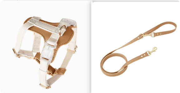 Dog And Cat Harnesses And Leashes For Walking