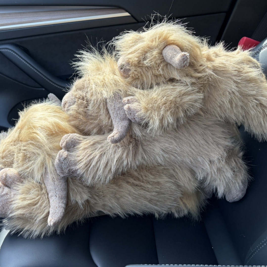 Highland Cow Pocket Plush Toy