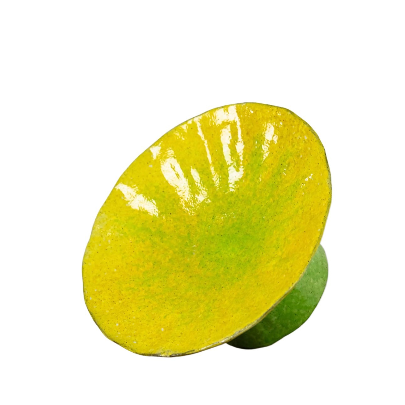 Handmade Ceramic Tray And Flower Pot Featuring A Hand-painted Citrus Motif