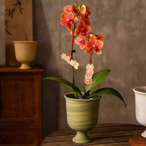 Ceramic Flower Pot Pedestal Wine Glass Ornament And Vase