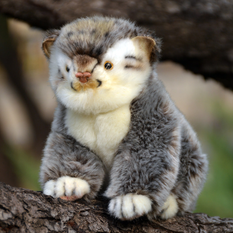 Super-realistic And Adorable Pallass Cat Plush Toy