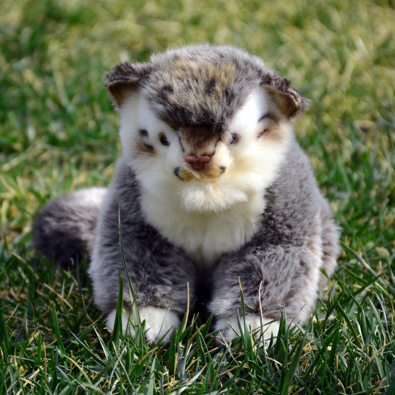 Super-realistic And Adorable Pallass Cat Plush Toy