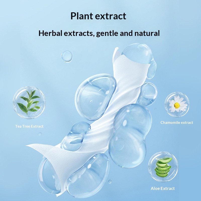 Portable Outdoor Mini Wet Toilet Paper