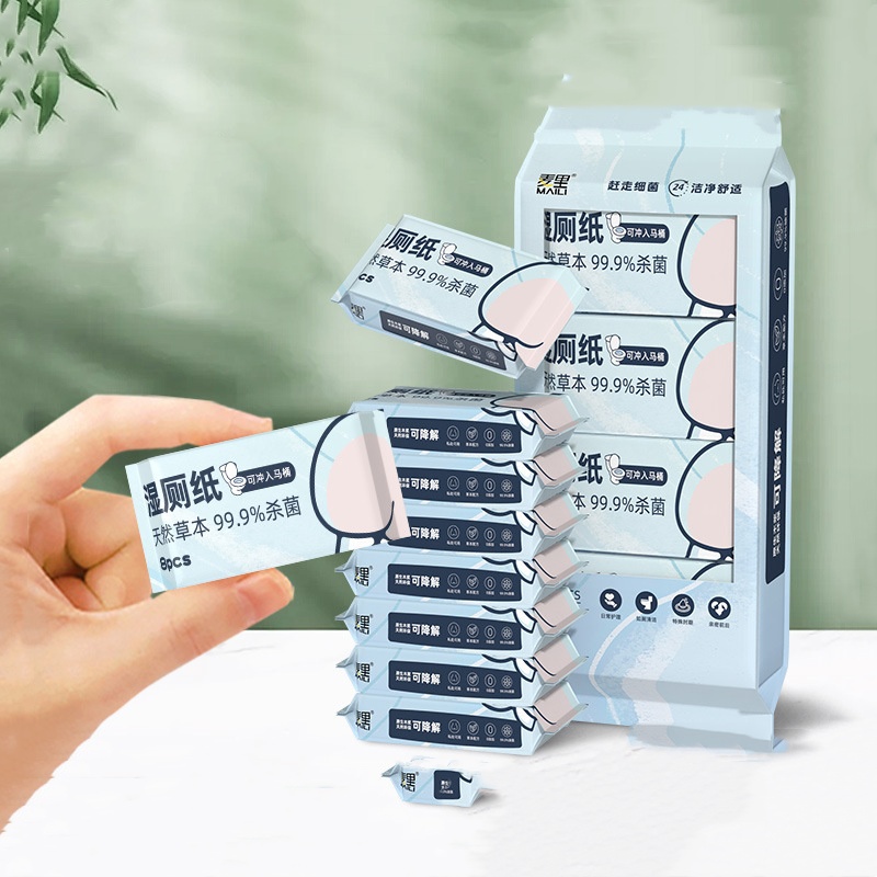 Portable Outdoor Mini Wet Toilet Paper