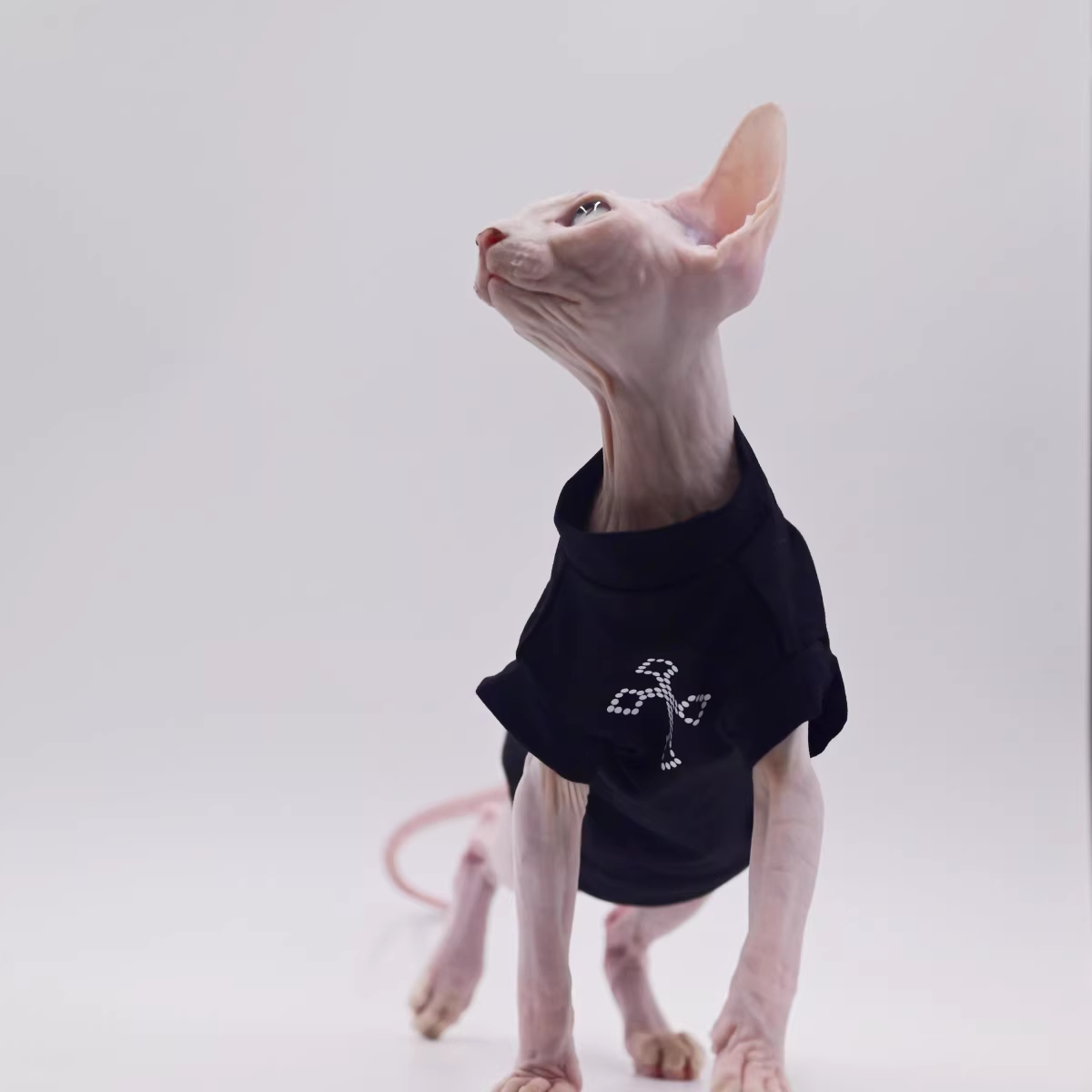 Pure Cotton Sphynx Hairless Cat Stylish Thin Vest Base Layer