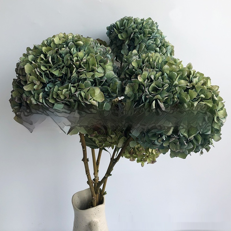 Naturally Air-Dried Real Autumn-Color Hydrangea Bouquet By Anna