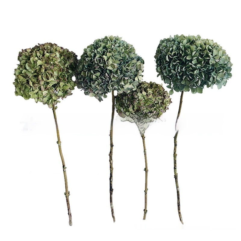 Naturally Air-Dried Real Autumn-Color Hydrangea Bouquet By Anna