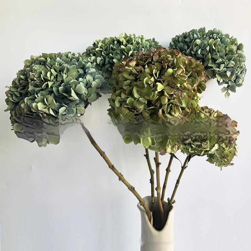 Naturally Air-Dried Real Autumn-Color Hydrangea Bouquet By Anna