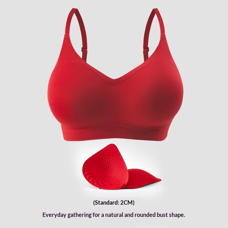Seamless Womens Bra That Makes A Small Bust Look Bigger