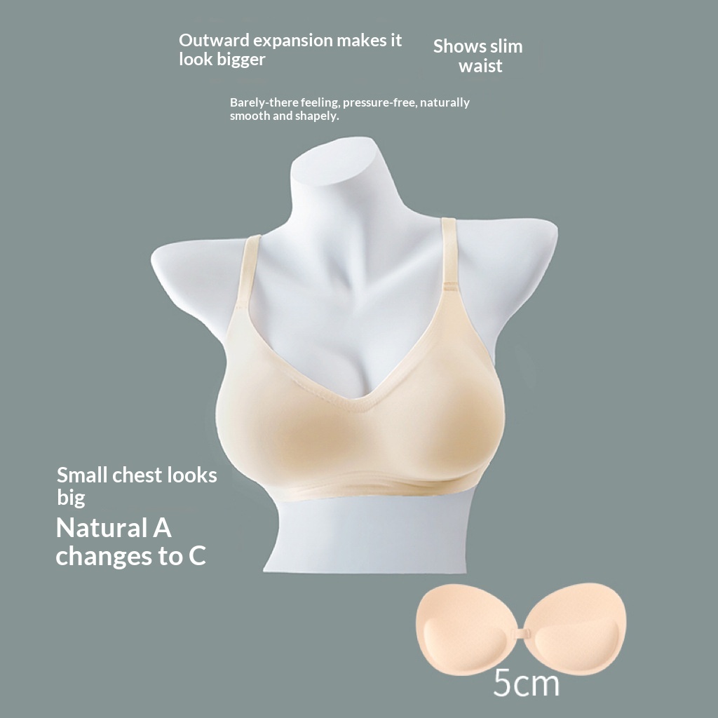Seamless Womens Bra That Makes A Small Bust Look Bigger