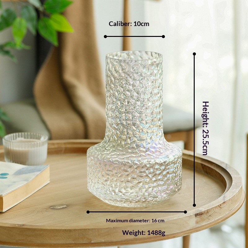 Minimalist  Light-luxury  Niche Glass Transparent Water Vase Decoration