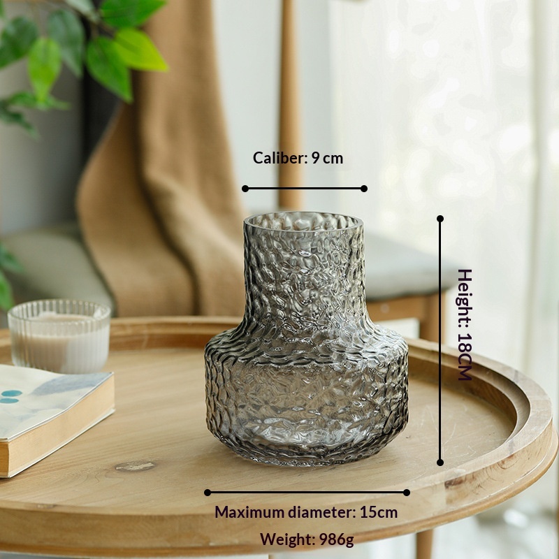 Minimalist  Light-luxury  Niche Glass Transparent Water Vase Decoration