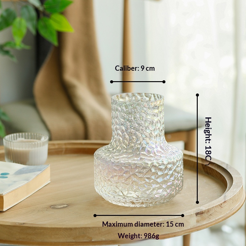 Minimalist  Light-luxury  Niche Glass Transparent Water Vase Decoration