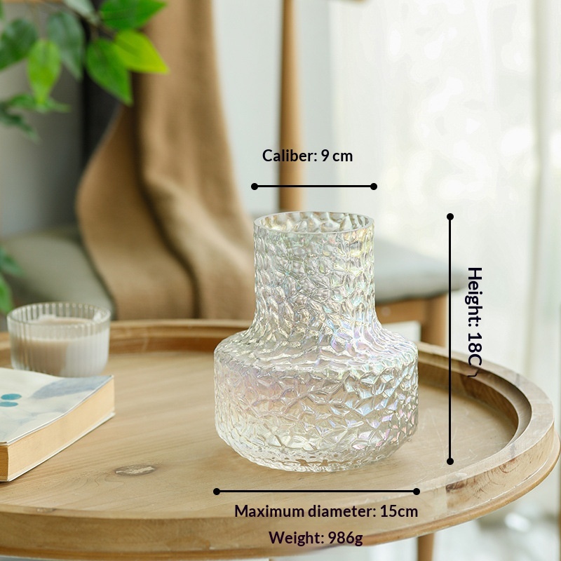 Minimalist  Light-luxury  Niche Glass Transparent Water Vase Decoration