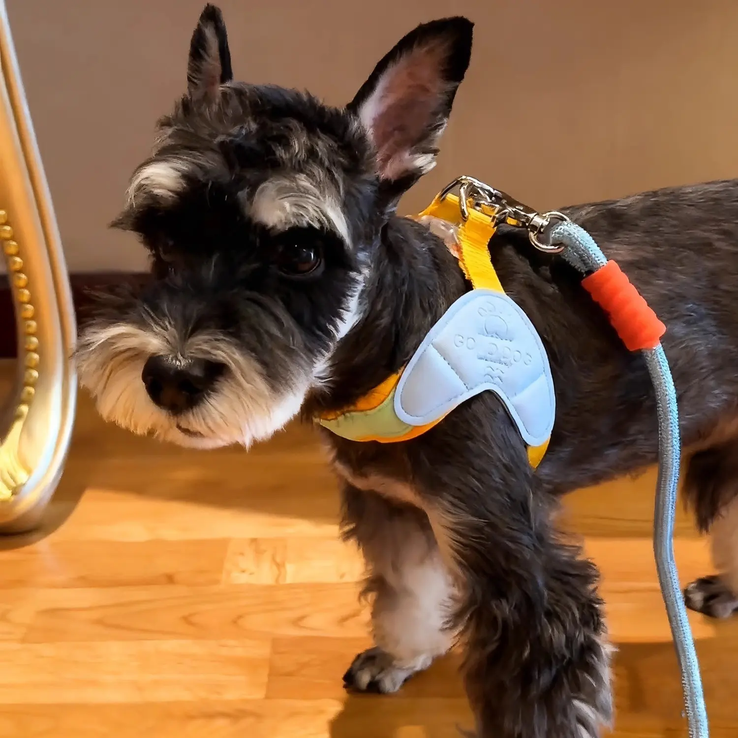Dog Harness Vest-style Leash, Dopamine