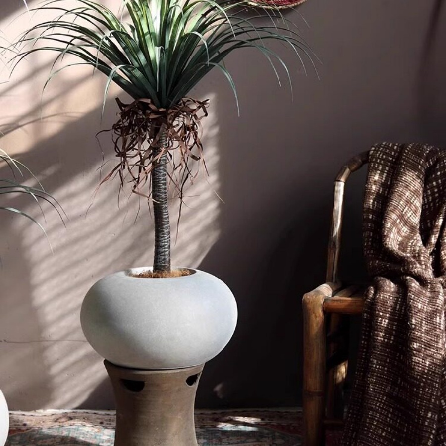 Round Magnesium Clay Flower Pot With Bamboo And Green Plant Decoration