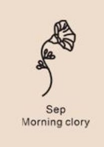 December Birthday Flower Necklace Name Chain