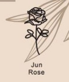 December Birthday Flower Necklace Name Chain