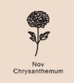 December Birthday Flower Necklace Name Chain