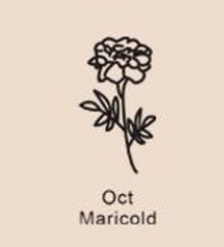 December Birthday Flower Necklace Name Chain