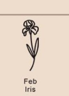 December Birthday Flower Necklace Name Chain