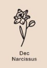 December Birthday Flower Necklace Name Chain