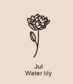 December Birthday Flower Necklace Name Chain