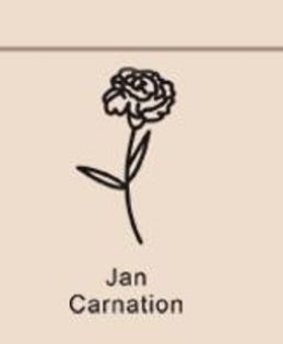 December Birthday Flower Necklace Name Chain