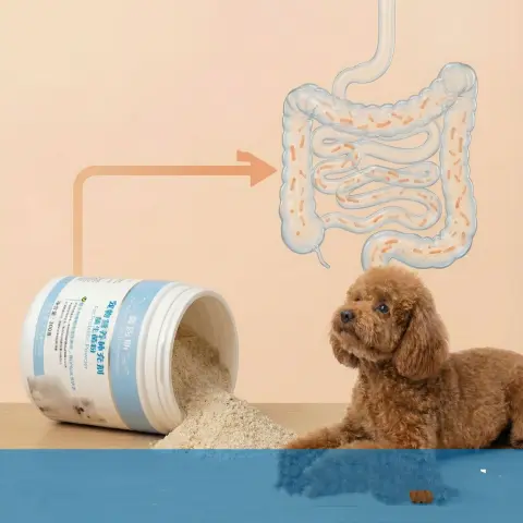 Pet Nutritional Supplements for Gut Health