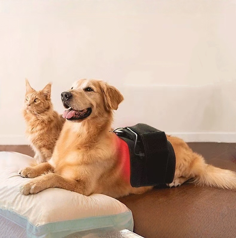 Full-Body Infrared Therapy Blanket For Pets Red Light Lumbar Belt For Senior Dogs And Cats