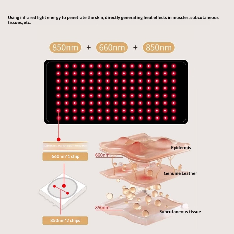Full-Body Infrared Therapy Blanket For Pets Red Light Lumbar Belt For Senior Dogs And Cats