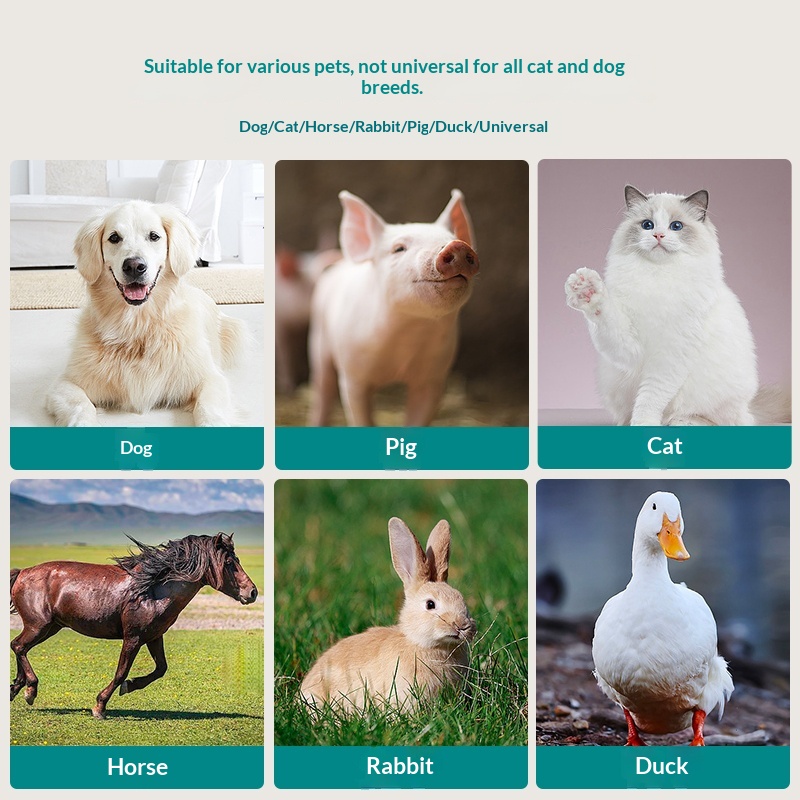 Full-Body Infrared Therapy Blanket For Pets Red Light Lumbar Belt For Senior Dogs And Cats