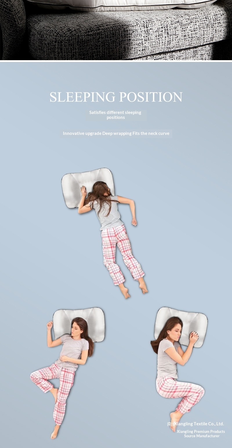 Ergonomic Cushion Support Architecture